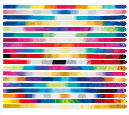 CHACOTT  Gradation Ribbon  4m