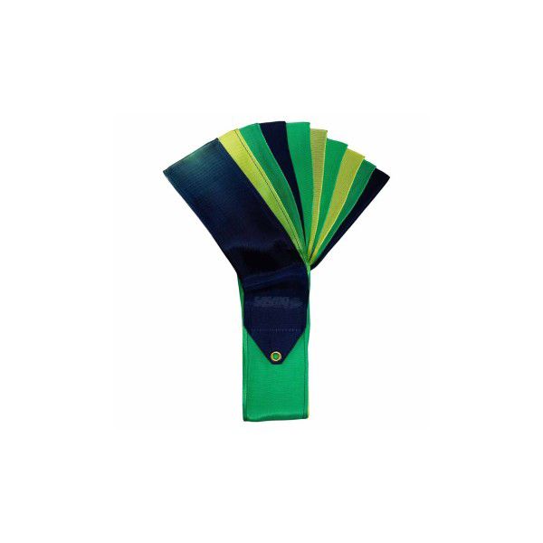 Ribbons SASAKI ( Multicoloured 5m/6m FIG )