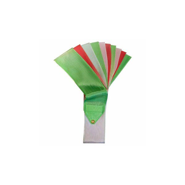 Ribbons SASAKI ( Multicoloured 5m/6m FIG )