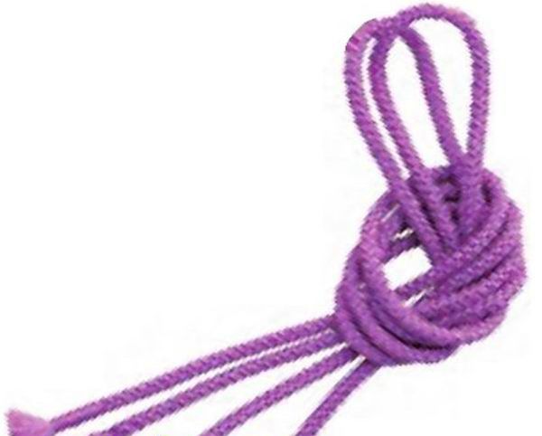 Rope Sasaki M-280 ( 3m FIG )